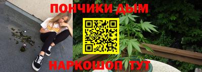 стаф Будённовск