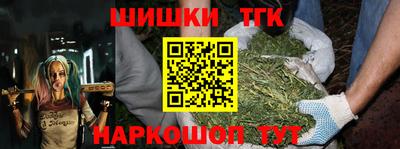 стаф Будённовск